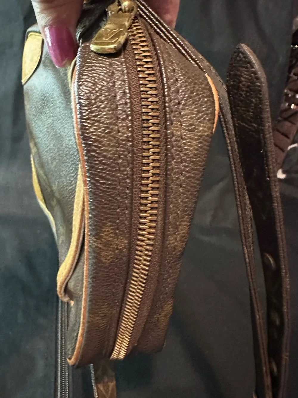 Louis Vuitton Monogram Danube crossbody